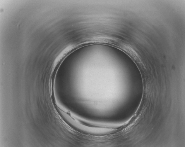 X0000060761180200511171140