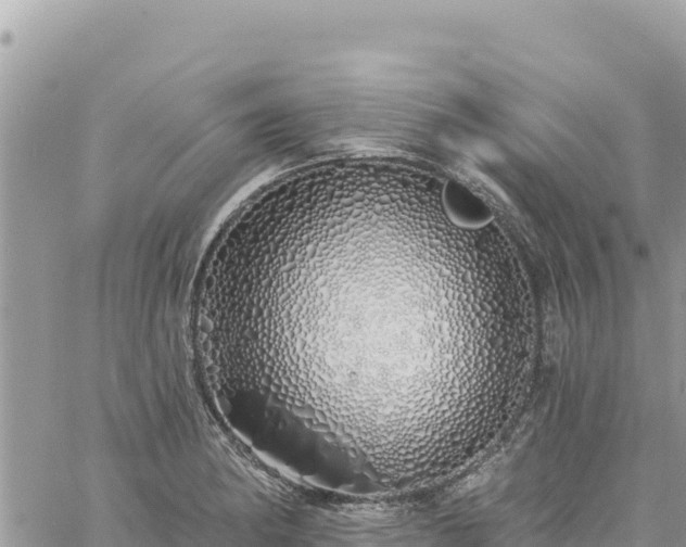 X0000060761182200511171140