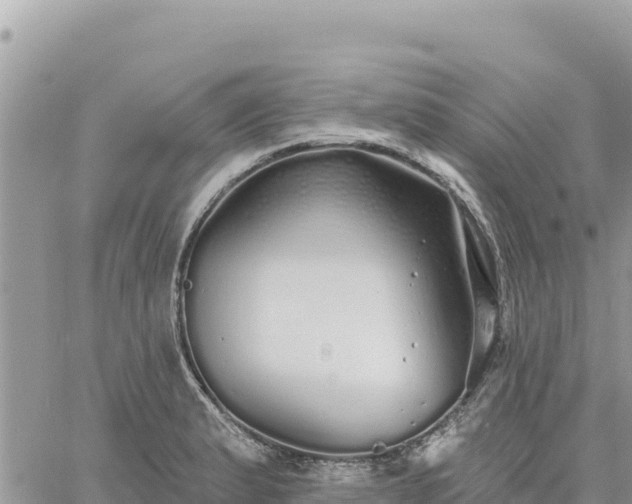 X0000060761183200511171140