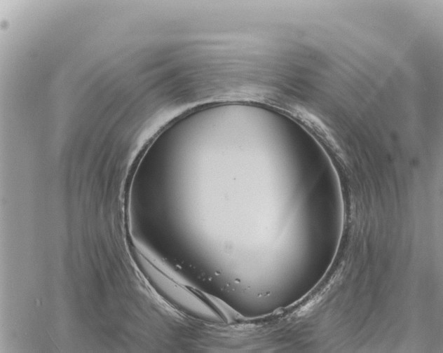 X0000060761184200511171140