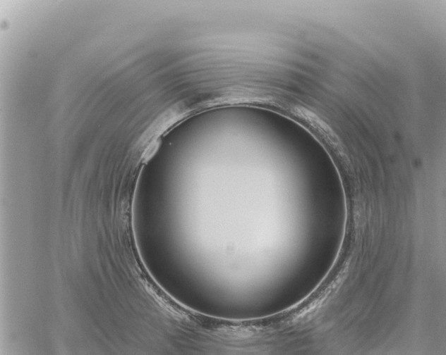 X0000060761185200511171140