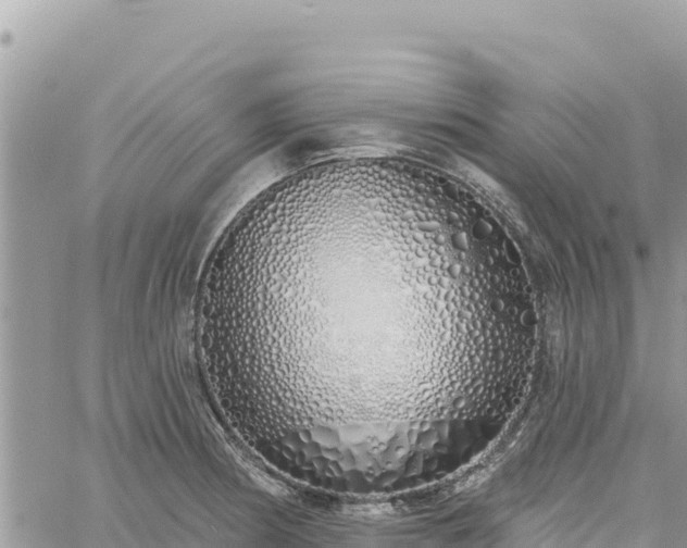 X0000060761186200511171140