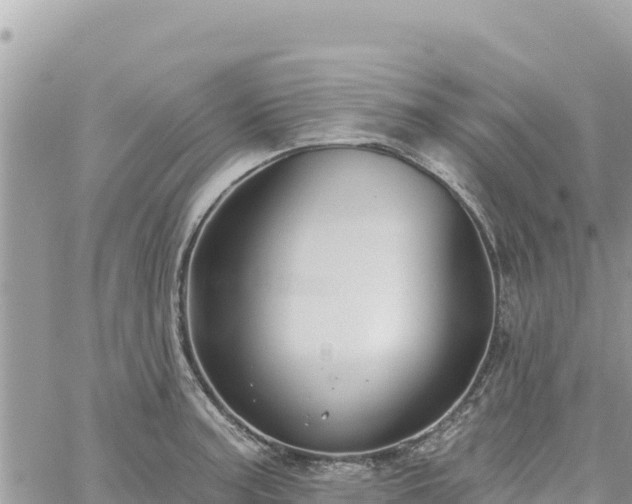 X0000060761187200511171140