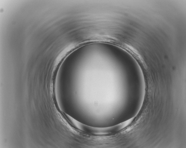 X0000060761188200511171140