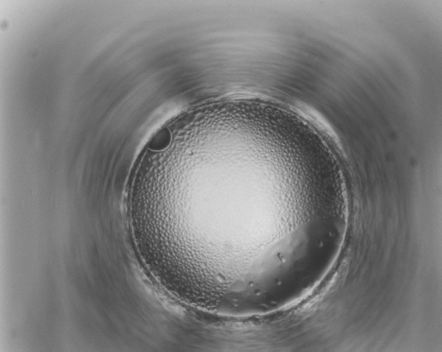 X0000060761190200511171140