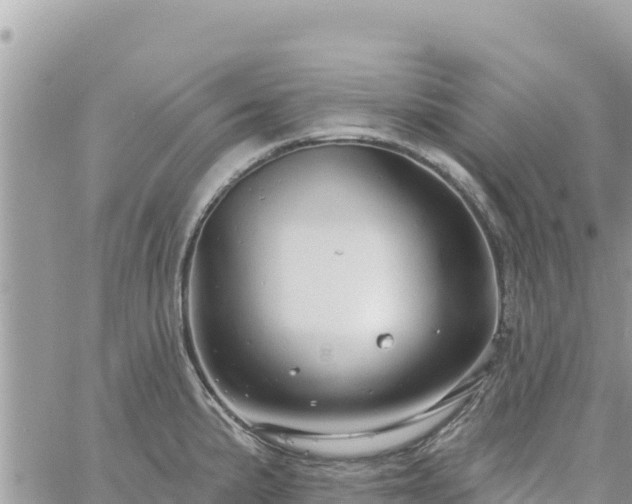 X0000060761191200511171140