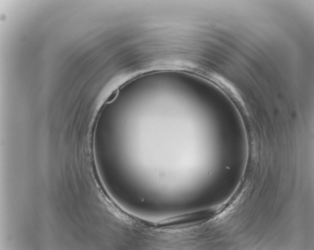 X0000060761192200511171140