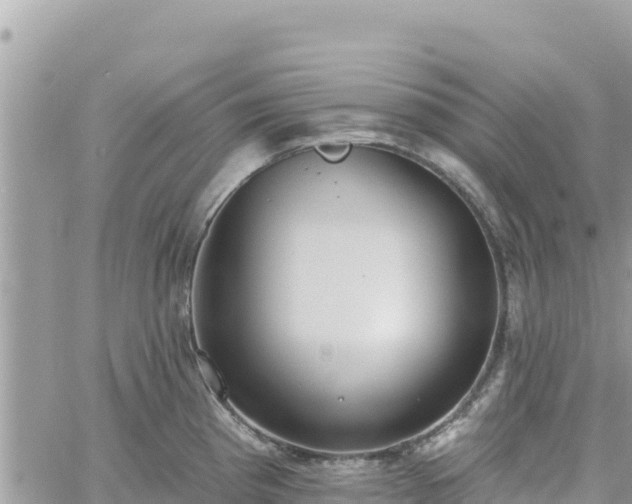 X0000060761193200511171140