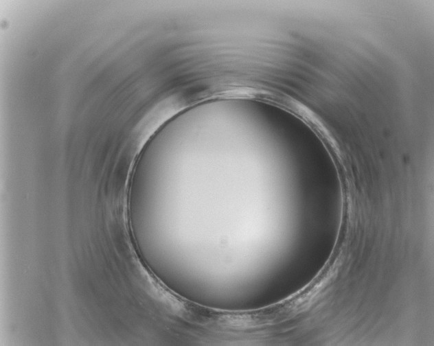 X0000060761194200511171140