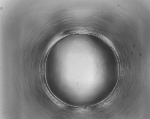 X0000060761195200511171140