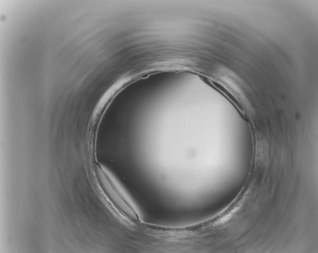 X0000060761196200511171140