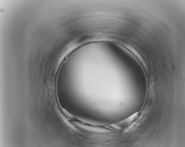 X0000060761197200511171140