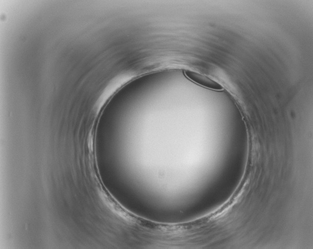 X0000060761198200511171140