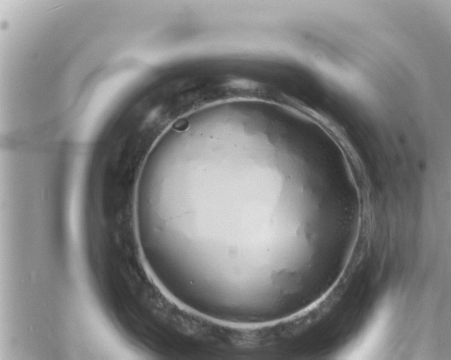 X0000060761199200511171140