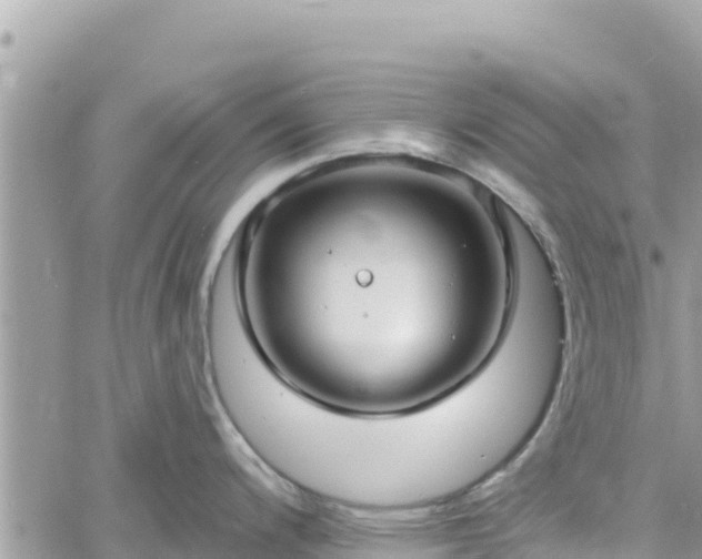 X0000060761200200511171140