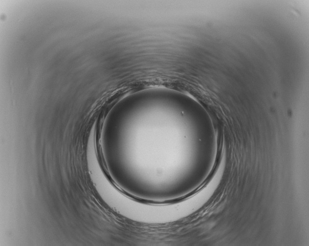 X0000060761202200511171139