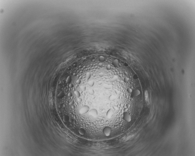 X0000060761203200511171139