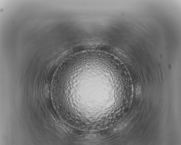 X0000060761204200511171139