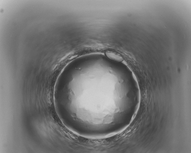 X0000060761205200511171139