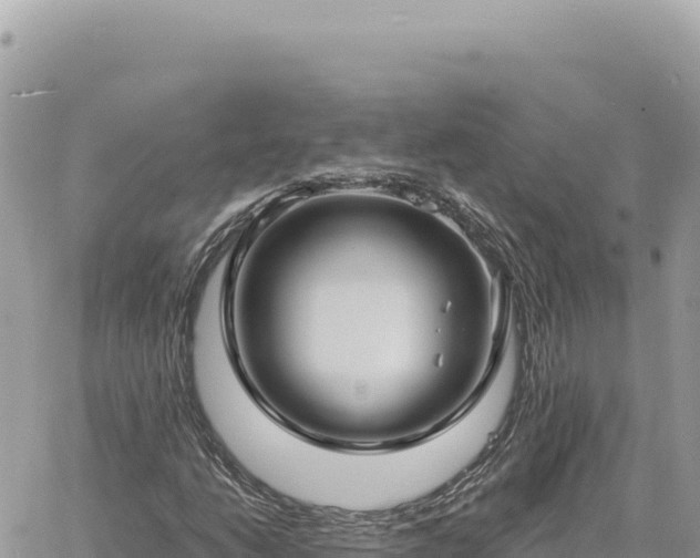 X0000060761206200511171139