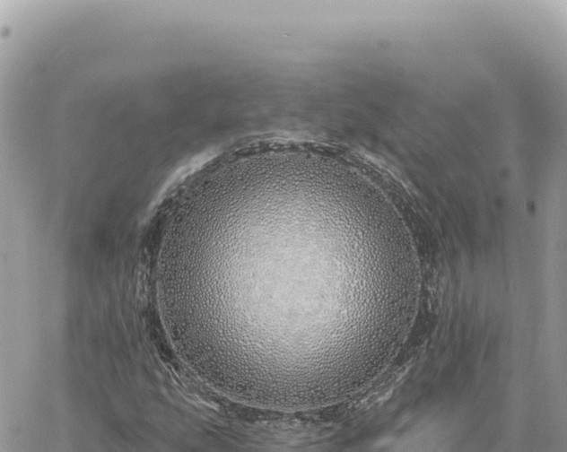 X0000060761207200511171139