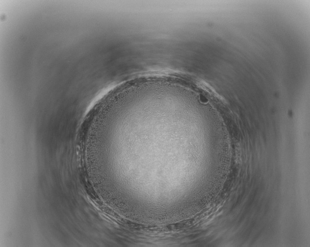 X0000060761208200511171139