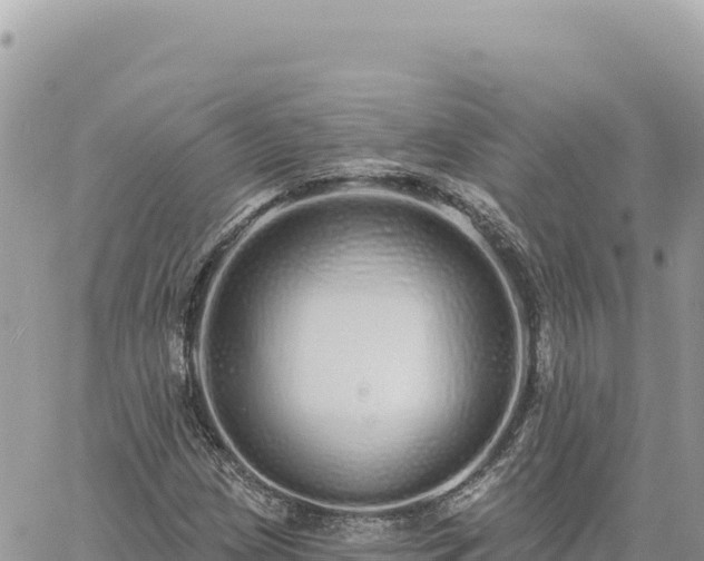 X0000060761209200511171139