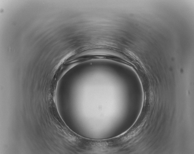 X0000060761210200511171139