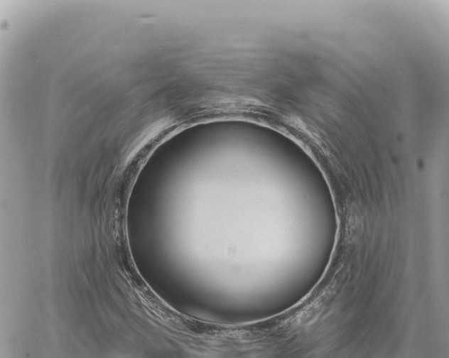 X0000060761211200511171139