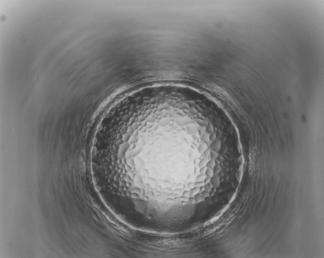 X0000060761212200511171139