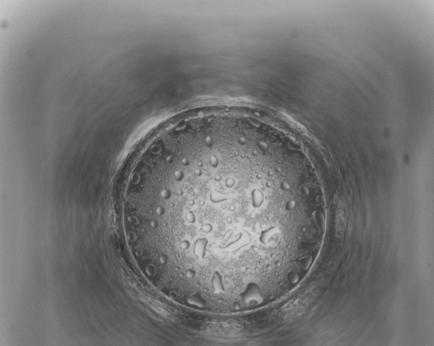 X0000060761215200511171139