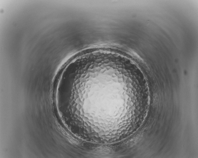 X0000060761216200511171139