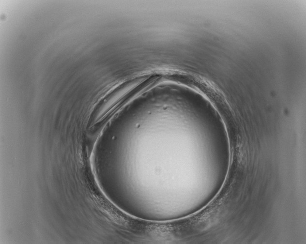 X0000060761217200511171139