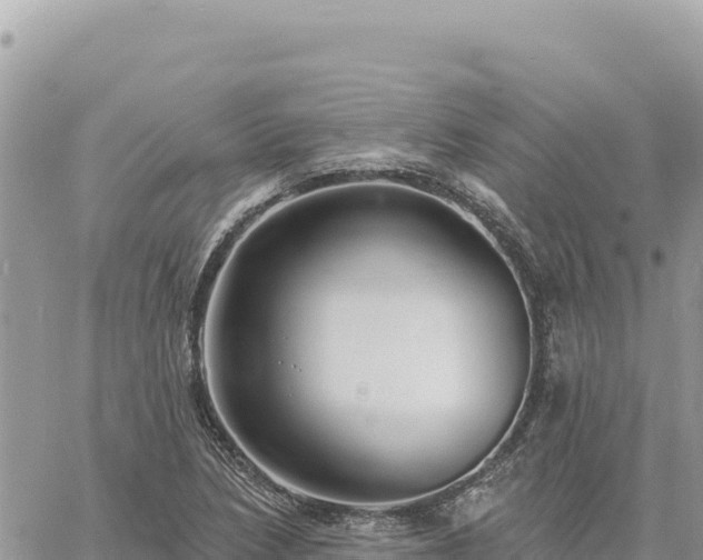 X0000060761218200511171139