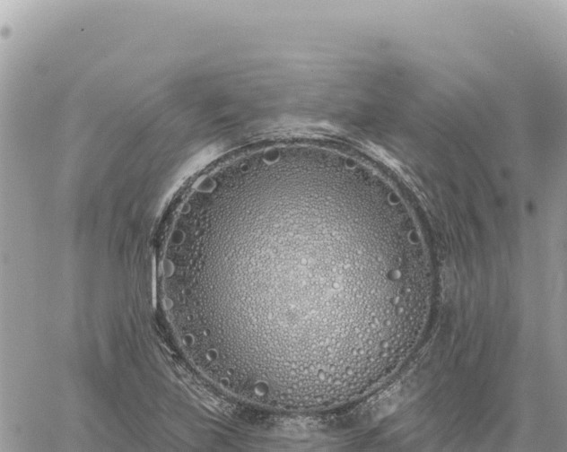 X0000060761219200511171139