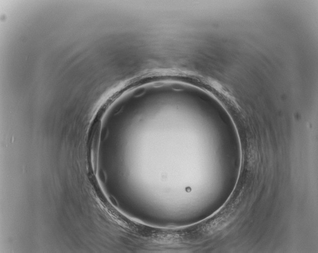 X0000060761221200511171139