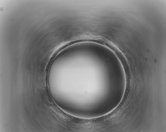 X0000060761222200511171139