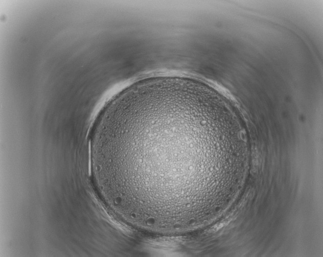 X0000060761223200511171139