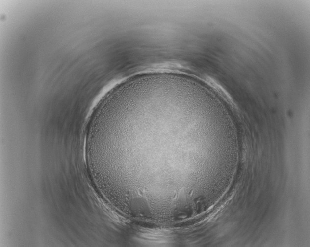 X0000060761224200511171139