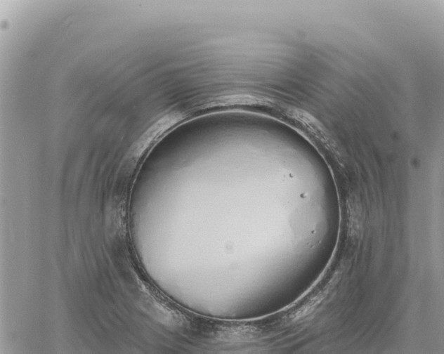 X0000060761225200511171139