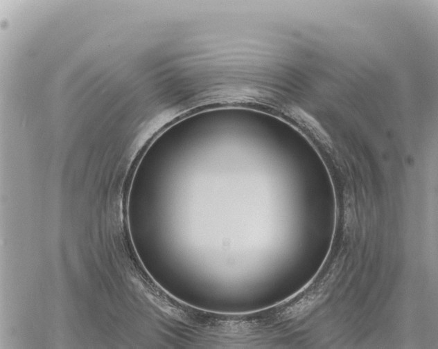 X0000060761226200511171139