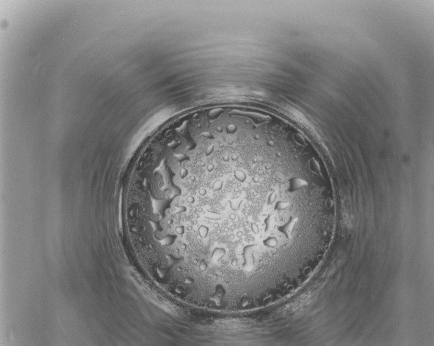 X0000060761227200511171139