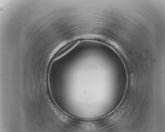 X0000060761229200511171139