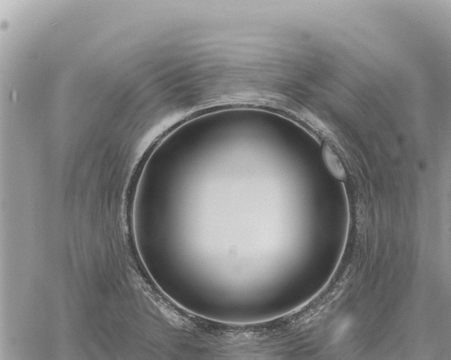 X0000060761230200511171140