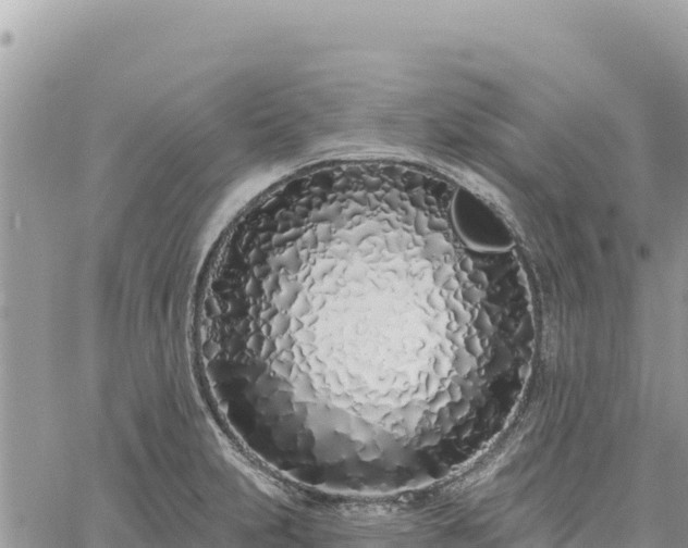 X0000060761231200511171140