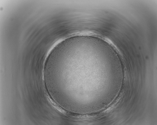 X0000060761232200511171140