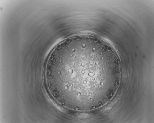 X0000060761235200511171140