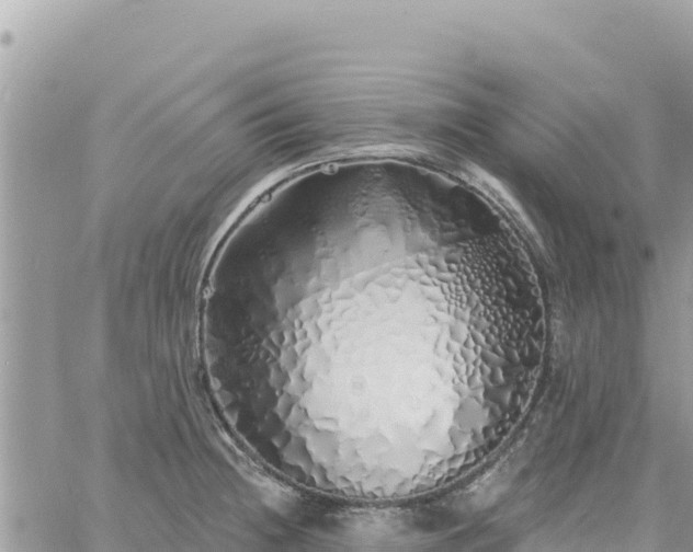 X0000060761236200511171140