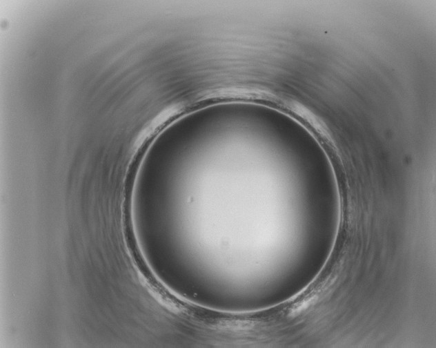 X0000060761237200511171140