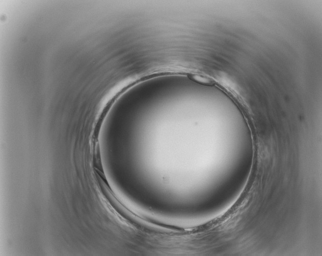 X0000060761238200511171140